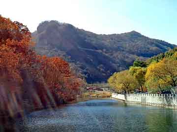 澳门天天开奖免费资料，四川日报广告部电话